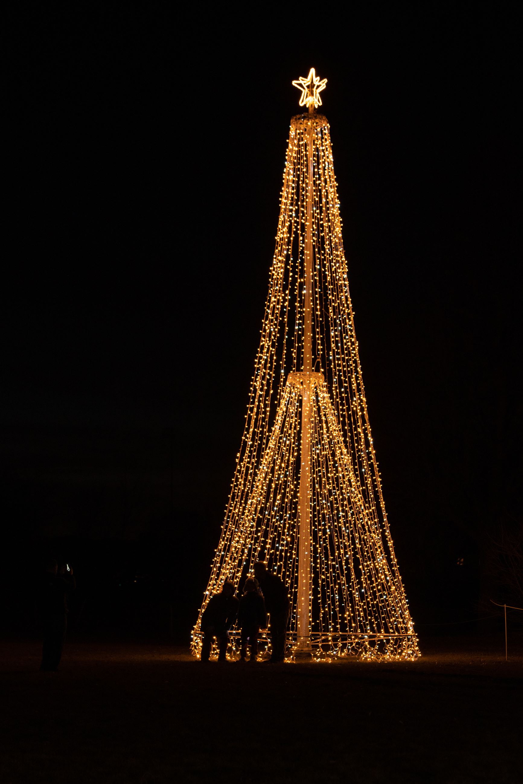 Homer for the Holidays-82