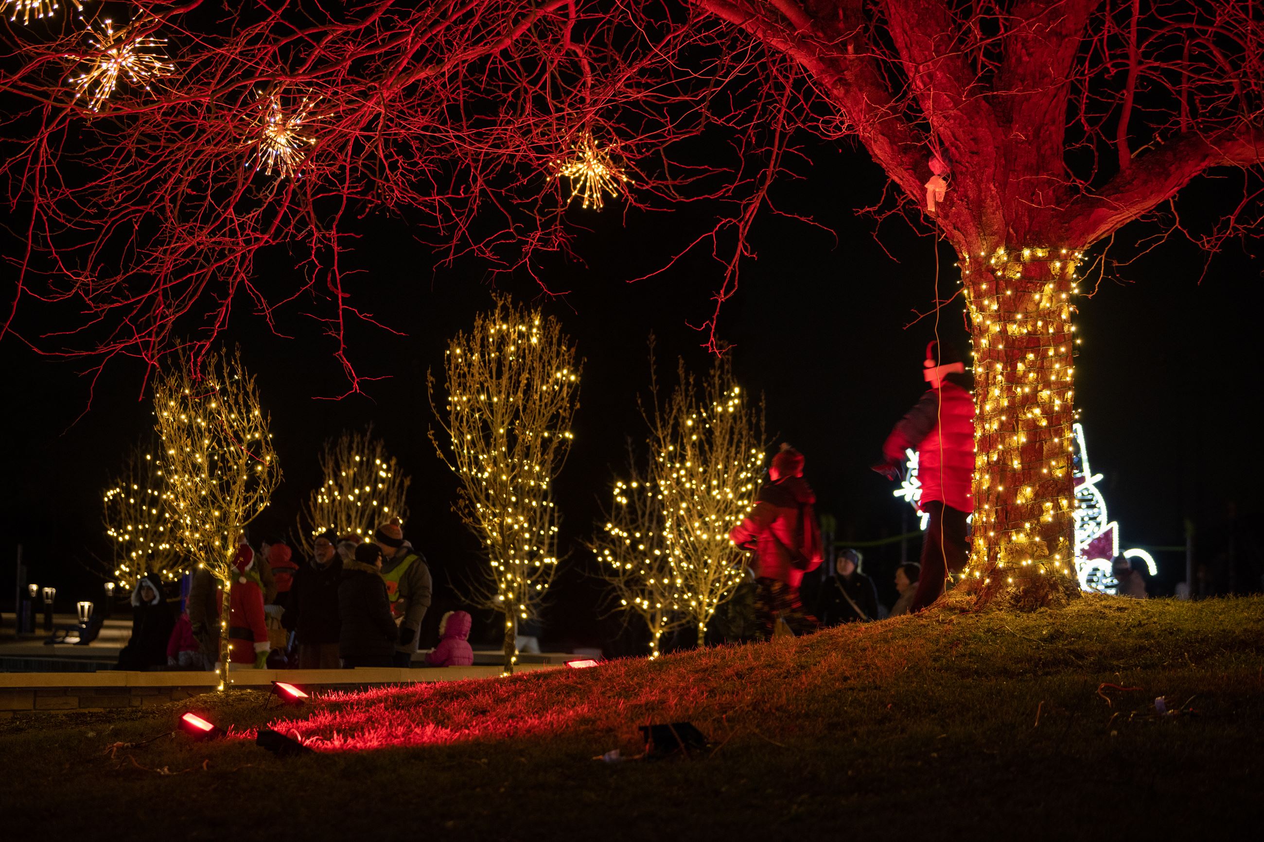 Homer for the Holidays-93