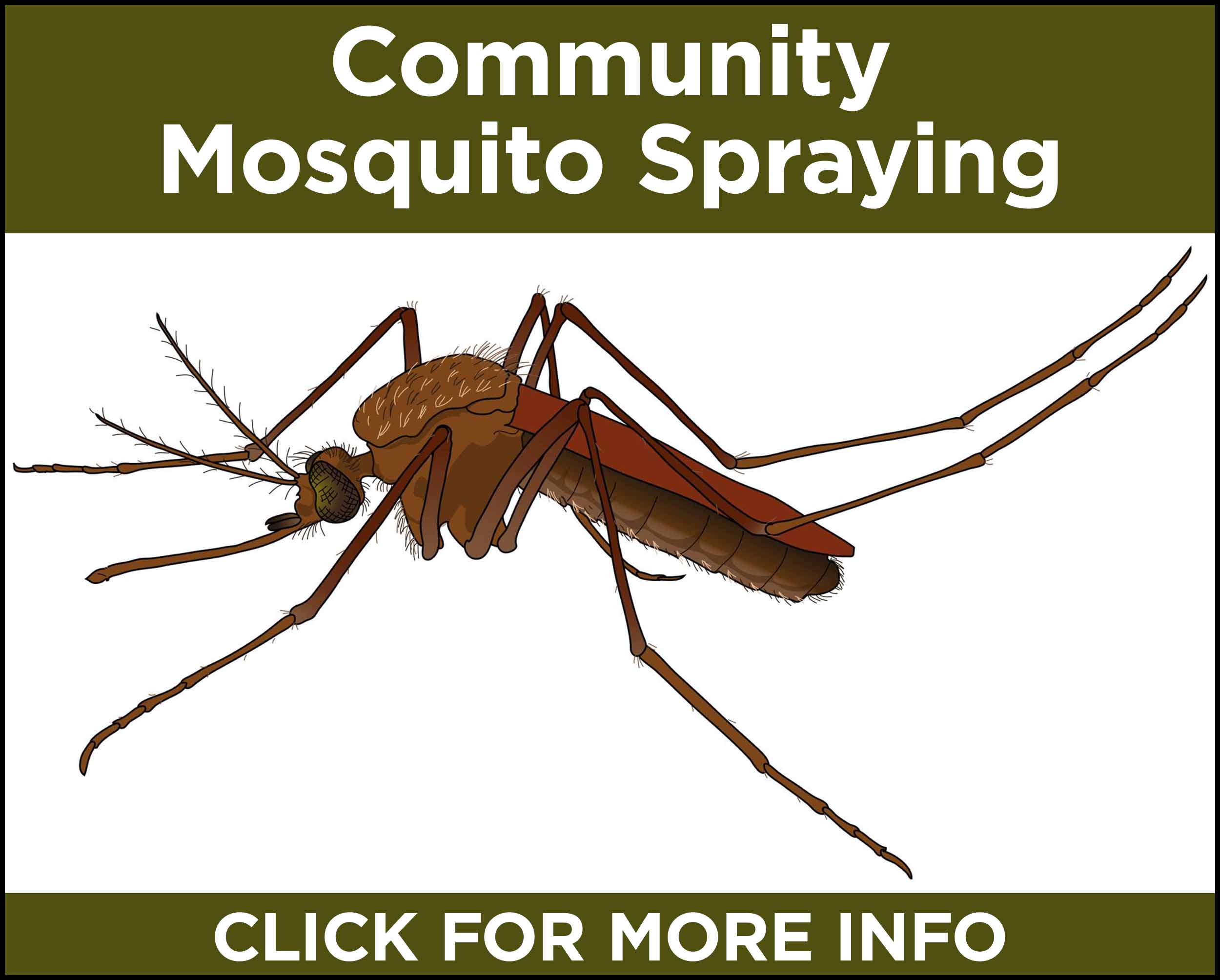Mosquito Spraying Info
