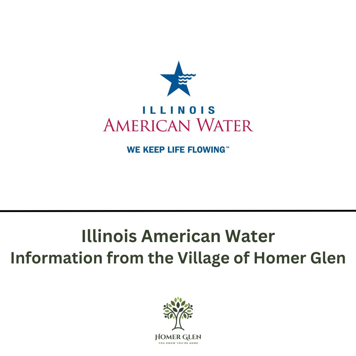 News Spotlights (19)