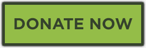 button_donate-now